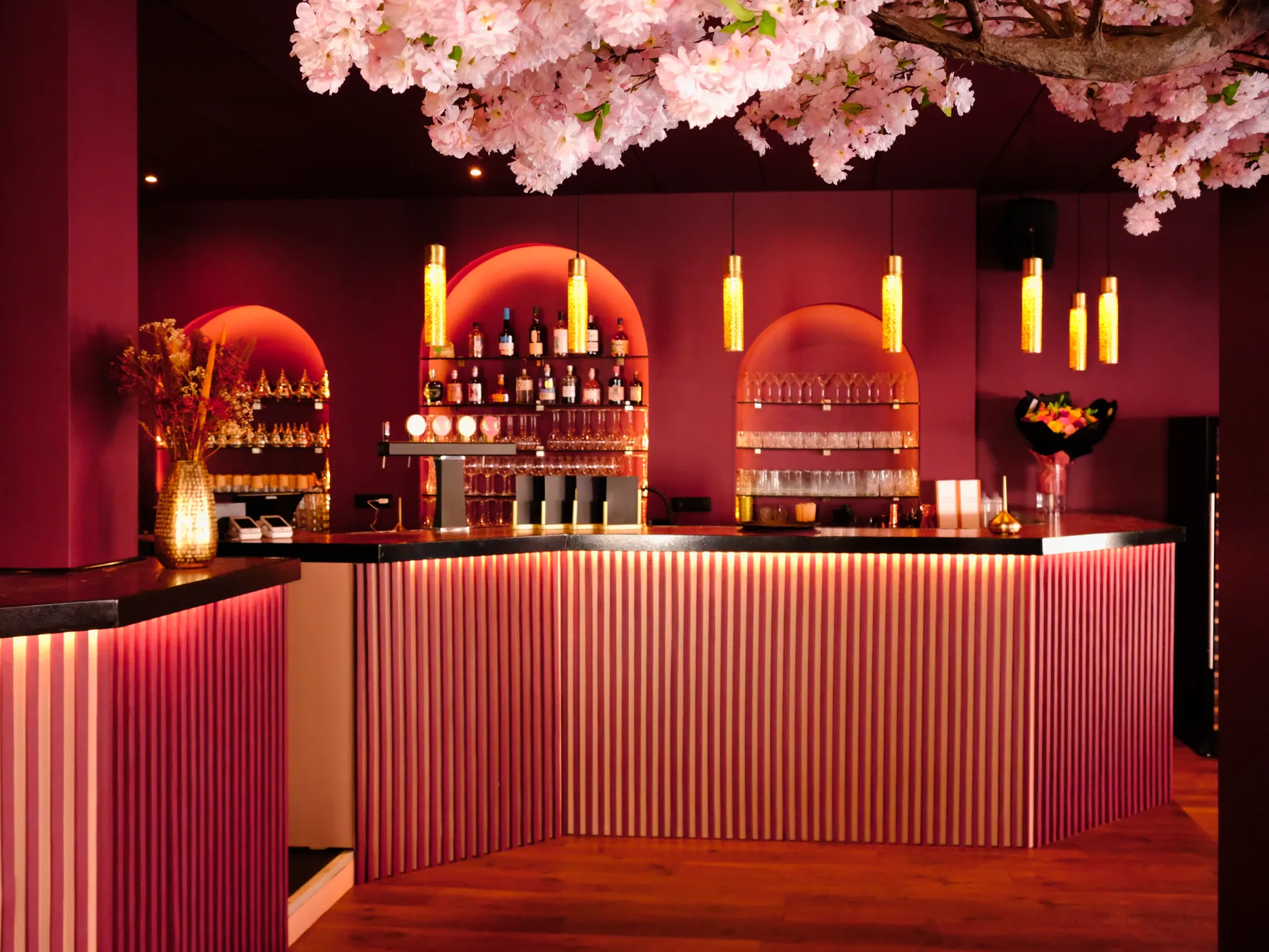 Le bar sous les fleurs de cerisier