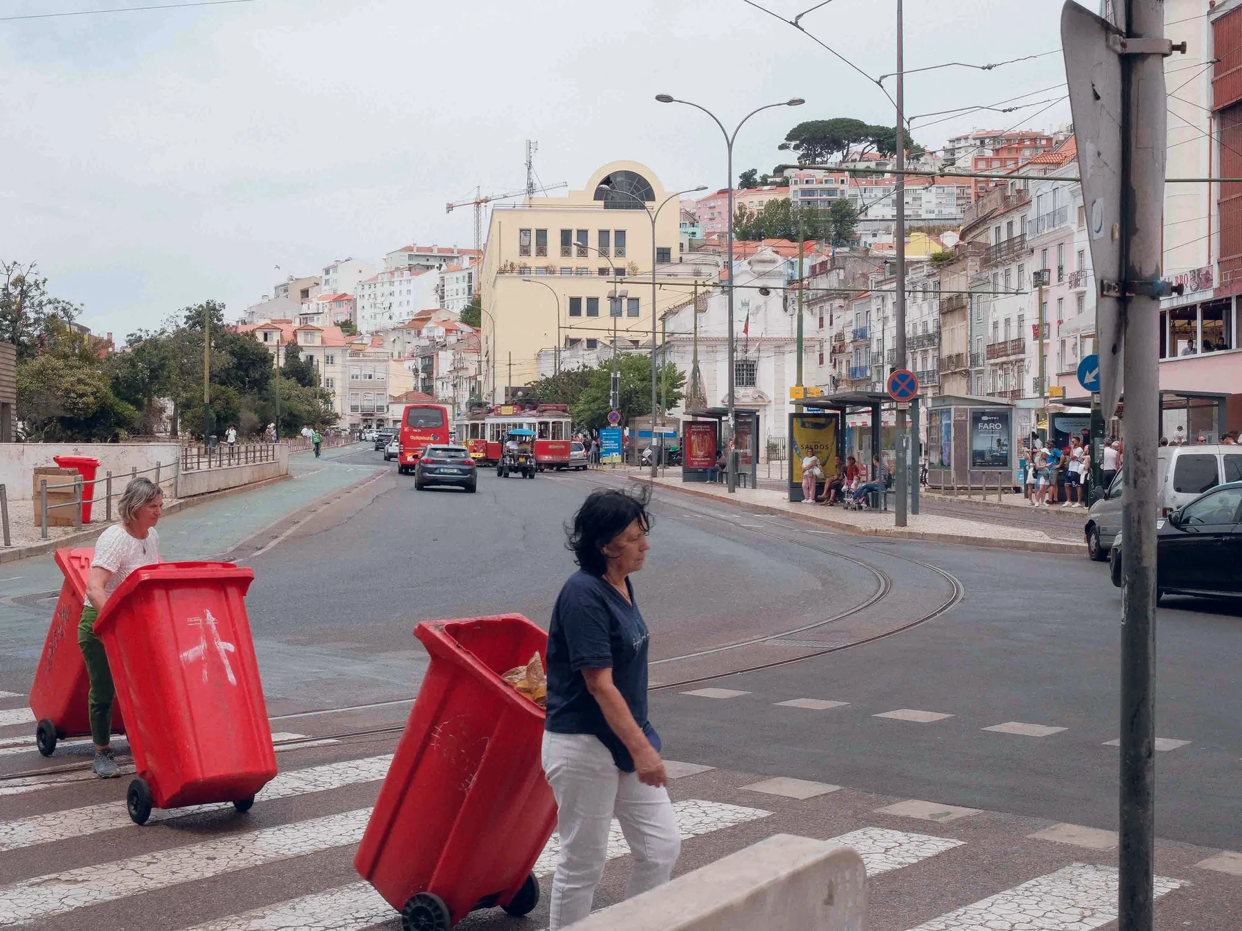 Bacs rouges sur un passage piéton